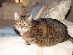 tabithathecuddler-8-15-05.jpg